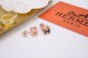 HERMES/エルメス 新品 ピアス イアリング  秋冬新作 19P65-HE39