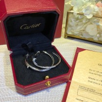 Cartier（カルティエ ）2019新作 ピアス イアリング FF-19P170-CA118