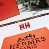 HERMES/エルメス 新品 ピアス イアリング  秋冬新作 19P70-HE45