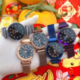2020SS新作Dior ディオール レディース時計 スーパーコピー5色