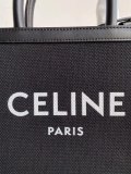 2021SS新作 Celine セリーヌ レディースショルダーバッグスーパーコピー
