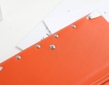 2021SS新作 ゴヤール Goyard レディース  ショルダーバック スーパーコピー