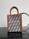 2021SS新作 Celine セリーヌ レディースショルダーバッグスーパーコピー
