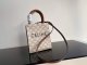 202103SS新作 Celine セリーヌ レディースショルダーバッグスーパーコピー