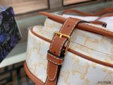202103SS新作 Celine セリーヌ レディースショルダーバッグスーパーコピー