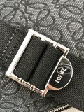 202109SS新作 LOEWE ロエベ  メンズショルダーバッグスーパーコピー