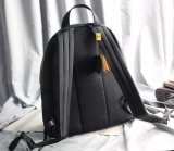 202110SS新作 FENDI フェンディ メンズ  リュックバックスーパーコピー