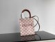 2022SS新作 Celine セリーヌ レディース ハンドバックスーパーコピー