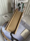 2022SS新作 シャネル Chanel  ショルダーバック スーパーコピー