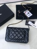 2022SS新作 シャネル Chanel  ショルダーバック スーパーコピー