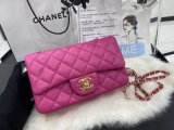 2022SS新作 シャネル Chanel  ショルダーバック スーパーコピー
