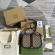 202201SSグッチGUCCI  レディース   ショルダーバックスーパーコピー