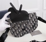 202201SS新作 Dior ディオール  メンズ ショルダーバックスーパーコピー