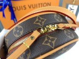 202203SS新作 Louis Vuitton ルイヴィトン  レディース  ショルダーバックスーパーコピー
