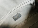 202204SS新作DIORクリスチャンディオール レディース  ショルダーバックスーパーコピー
