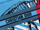 202204SS新作Diorクリスチャンディオールレディース  ハンドバック スーパーコピー