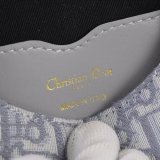 202204SS新作Diorクリスチャンディオールレディース  ショルダーバック スーパーコピー