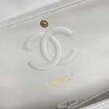 202206SS新作Chanelシャネルレディース ショルダーバックスーパーコピー