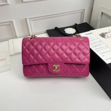 202206SS新作Chanelシャネルレディース ショルダーバックスーパーコピー