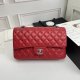 202206SS新作Chanelシャネルレディース ショルダーバックスーパーコピー