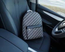 202209SS新作Dior クリスチャンディオールメンズ  リュックバックスーパーコピー