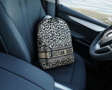 202209SS新作Dior クリスチャンディオールメンズ  リュックバックスーパーコピー