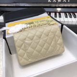 202209SS新作Chanelシャネル レディース ショルダーバックスーパーコピー