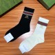入手困難Gucci グッチ靴下って