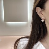 超話題! Dior ディオール n級品 レディース イアリング