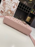 日本未入荷 ディオール 偽物通販 蝶 リベット 横版戴妃バッグ