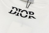 追跡付 ディオール コピーおすすめ 24 ss春夏アルファベット刺繍半袖Tシャツ