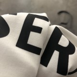 入手困難 バレンシアガ コピー 2024新パスポートシリーズシンプル半袖Tシャツ