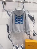 一目惚れ♪ ロエベ コピーおすすめ 胸と後ろの立体植毛歯ブラシ刺繍420 g毛輪純綿衛衣ファスナーコート