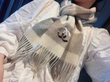 【限定】シャネル コピー カシミヤの水波紋の小さなマフラー