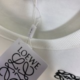 一目惚れ♪ ロエベ 偽物通販 加絨ベースロゴアルファベット刺繍シリーズペアルック2色