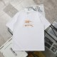 入手困難 バーバリー n級品 戦馬騎士ロゴカジュアル丸首半袖Tシャツ