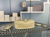 日本未入荷 ディオール n級品 レディース ショルダーバック