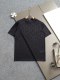 新作フェンディ n級品 2025SSのクラシックな戦馬プリントロゴの暗紋タオル刺繍アルファベットロゴTシャツ