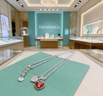 日本未入荷 ティファニー スーパーコピー 2026SSのネックレス