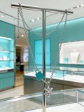 超話題! ティファニー n級品 2026SSのネックレス