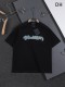 使い勝手良し ルイヴィトン コピー 2026SS 刺繍ラウンドネック半袖Tシャツ