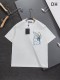 【話題商品！】 ルイヴィトン 激安偽物 2026SS  刺繍柄ラウンドネック半袖Tシャツ