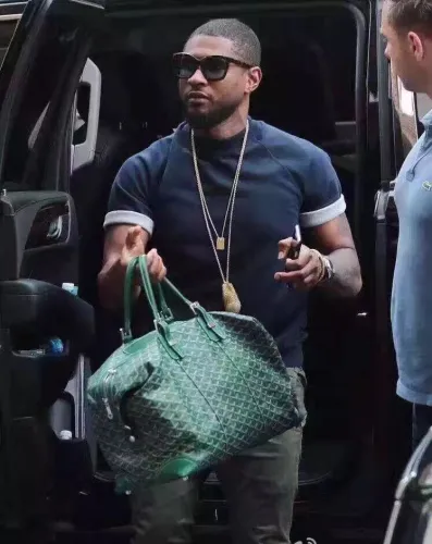 2019大人気爆発ゴヤール（GOYARD）☆レディース ハンドバックコピー☆人気商品今流行り欠かせない存在☆★