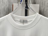 超希少！2026 ディオール 新作 半袖Tシャツ 偽物