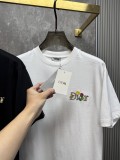 注目度抜群！2026 ディオール 新作 半袖Tシャツ コピー 2色
