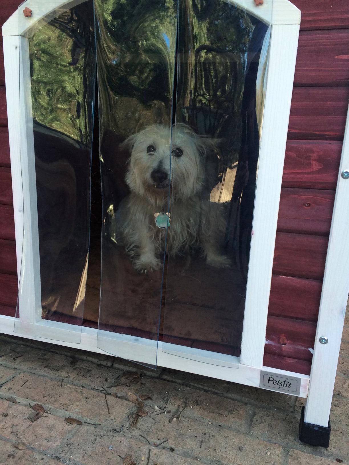 petsfit dog house