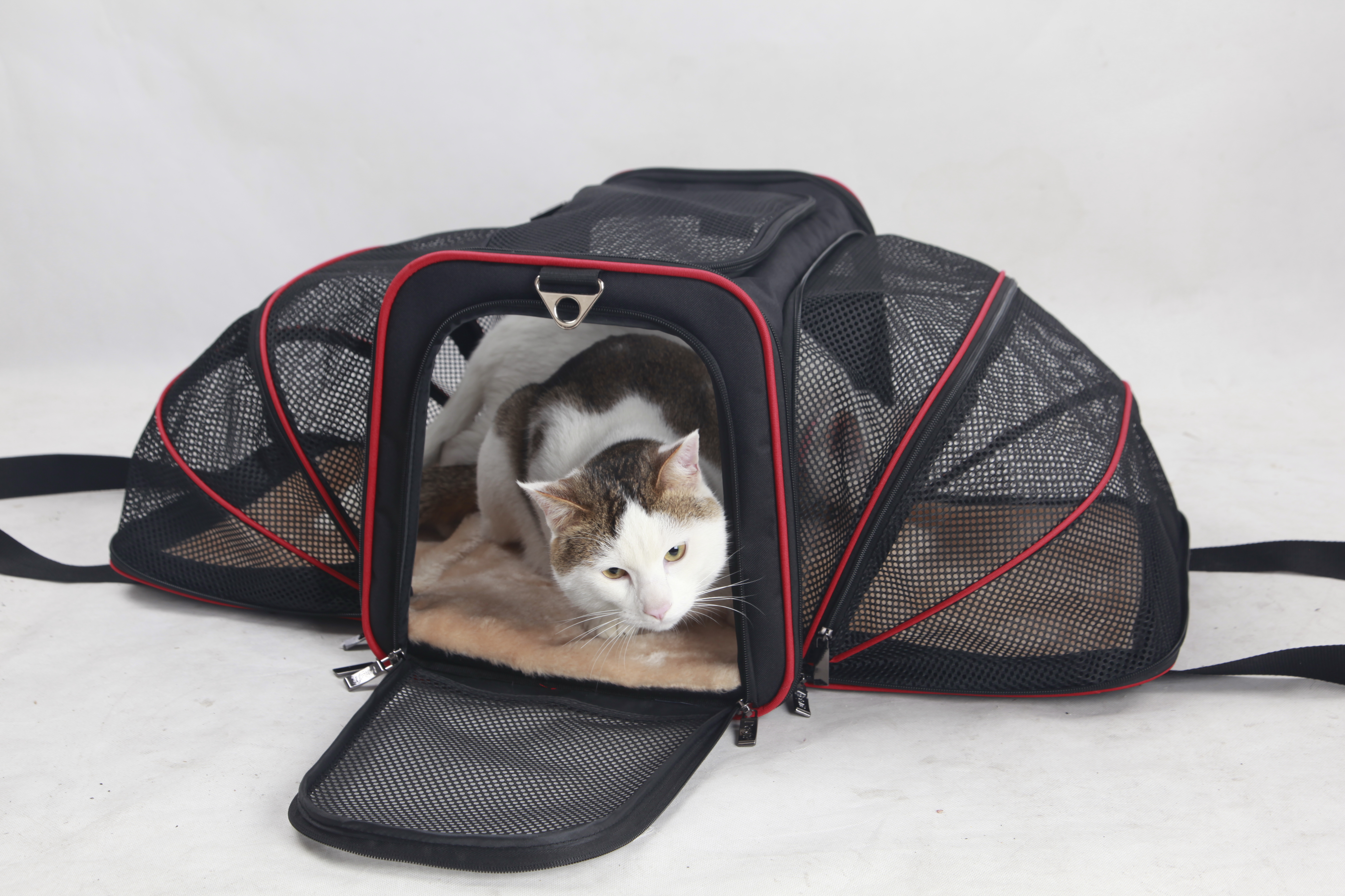 US 49.99 Petsfit 19x12x12 Inches Expandable Foldable Washable Travel