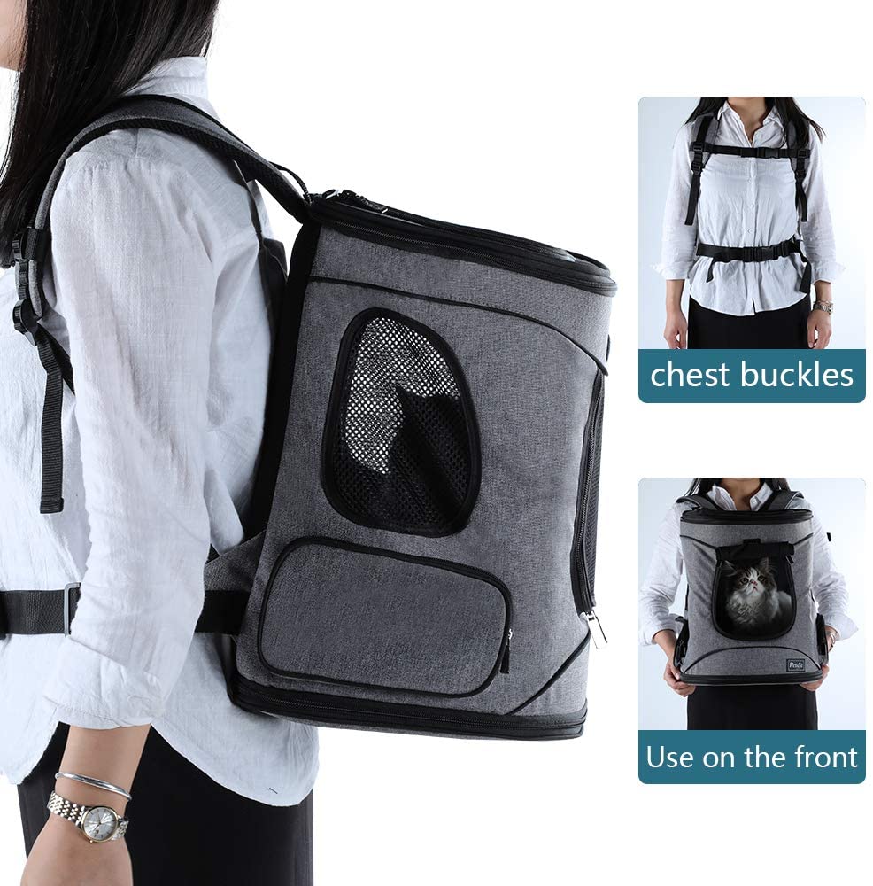 petsfit cat backpack