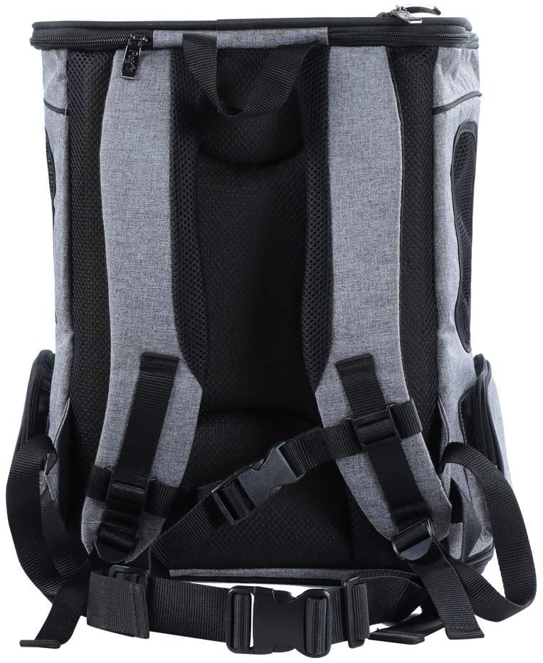 petsfit cat backpack