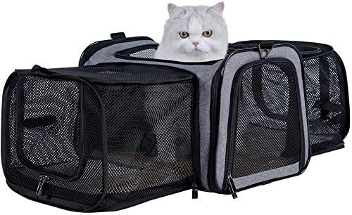 Petsfit Most Airline Approved Solid Expandable Soft-Sided Carrier with 2 Large Extensions for Pets up to 15 Pounds